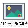 WYS-600預(yù)應(yīng)力松弛試驗(yàn)儀